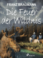 Die Feuer der Wildnis