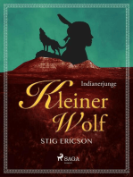 Indianerjunge Kleiner Wolf