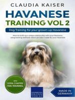 Havanese Training Vol 2 – Dog Training for Your Grown-up Havanese: Havanese Training, #2