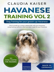are havanese hyper dogs
