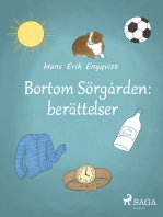 Bortom Sörgården