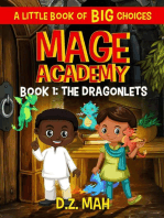 Mage Academy: The Dragonlets: A Little Book of BIG Choices: Mage Academy, #1