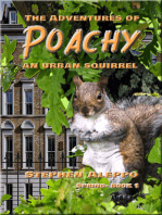 The Adventures of Poachy An Urban Squirrel
