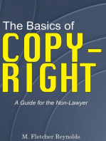 The Basics of Copyright