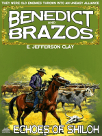 Benedict and Brazos 19