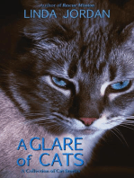 A Glare of Cats: A Collection of Cat Stories