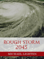 Rough Storm 2045