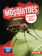 Mosquitoes: An Augmented Reality Experience