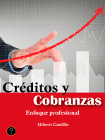 Créditos y cobranzas: Enfoque profesional