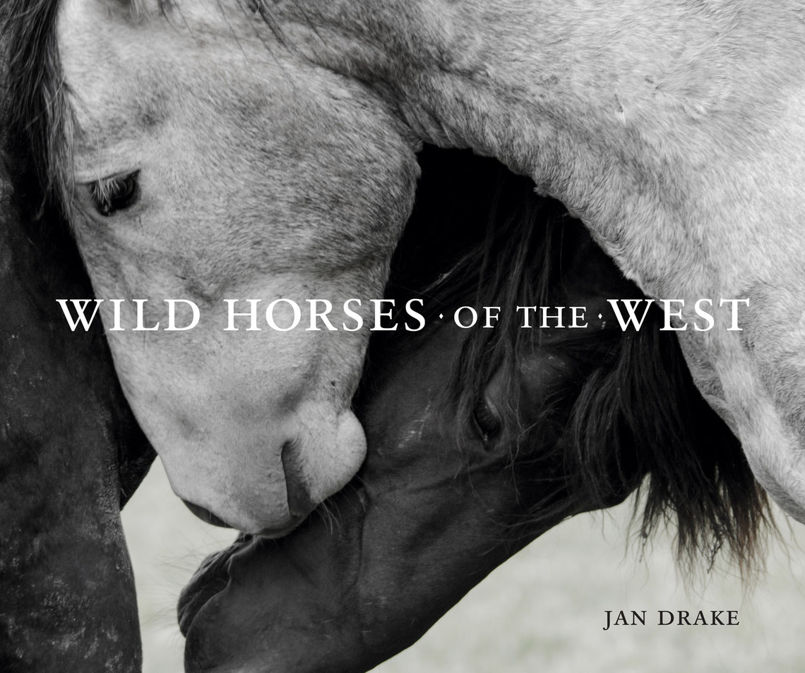 Wild Horses Of The West By Jan Drake Ebook Scribd