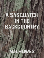 A Sasquatch in the Backcountry