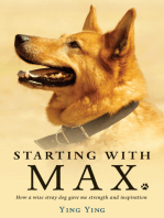 Starting with Max: How a wise stray dog gave me strength and inspiration