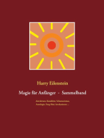 Magie für Anfänger - Sammelband III: Astralreisen, Kundalini, Schamanismus, Astrologie, Feng-Shui, Invokationen ...