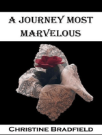 A Journey Most Marvelous