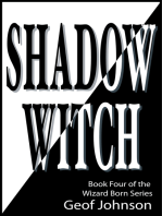 Shadow Witch: Book Four of the Wizard Born Series