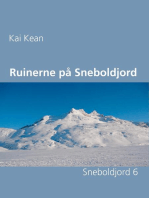 Ruinerne på Sneboldjord: Sneboldjord 6