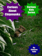 Curious About Chipmunks: Curious Kids Series, #9