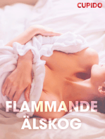 Flammande älskog – erotiska noveller