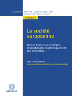 La société européenne: Droit et limites aux stratégies internationales de développement des entreprises