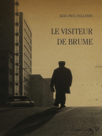 Le Visiteur de Brume: Thriller psychologique