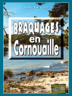 Braquages en Cornouaille: Les enquêtes du capitaine Paoli - Tome 7