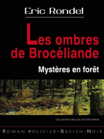 Les ombres de Brocéliande: Mystères en forêt 