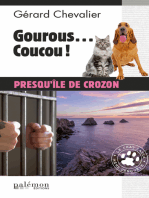 Gourous… coucou !: Polar breton