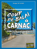 Coup de balai à Carnac