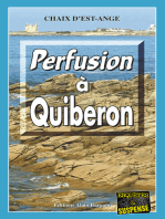 Perfusion à Quiberon: Les enquêtes de Marie Lafitte - Tome 9