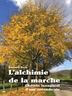 L'alchimie de la marche: Chemin inaugural d'une seconde vie