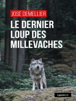 Le dernier loup des Millevaches: Polar