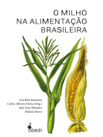 O milho na alimentação brasileira