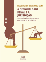 A desigualdade penal e a jurisdição: a criminalização na nova democracia brasileira