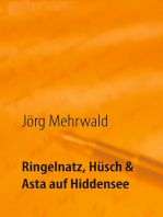 Ringelnatz, Hüsch und Asta auf Hiddensee: Das Beste aus vier literarischen Kabarettprogrammen & humorvollen Hiddensee-Gedichten & Liedern