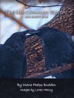 The Un-Common Raven: One Smart Bird