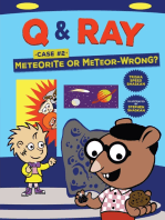 Meteorite or Meteor-Wrong?: Case 2