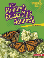 The Monarch Butterfly's Journey