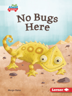 No Bugs Here