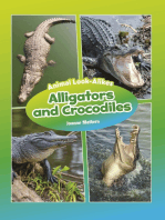 Alligators and Crocodiles