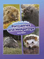 Porcupines and Hedgehogs