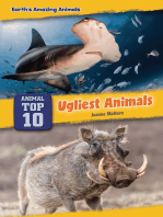 Ugliest Animals