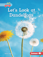 Let's Look at Dandelions