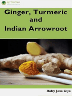 Ginger, Turmeric and Indian Arrowroot