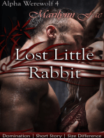 Alpha Werewolf 4: Lost Little Rabbit