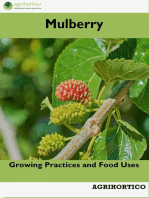 Mulberry: Growing Practices and Food Uses