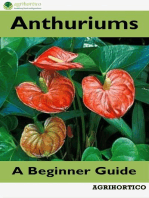 Anthuriums