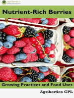 Nutrient-Rich Berries: Growing Practices and Food Uses