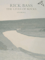 The Lives of Rocks