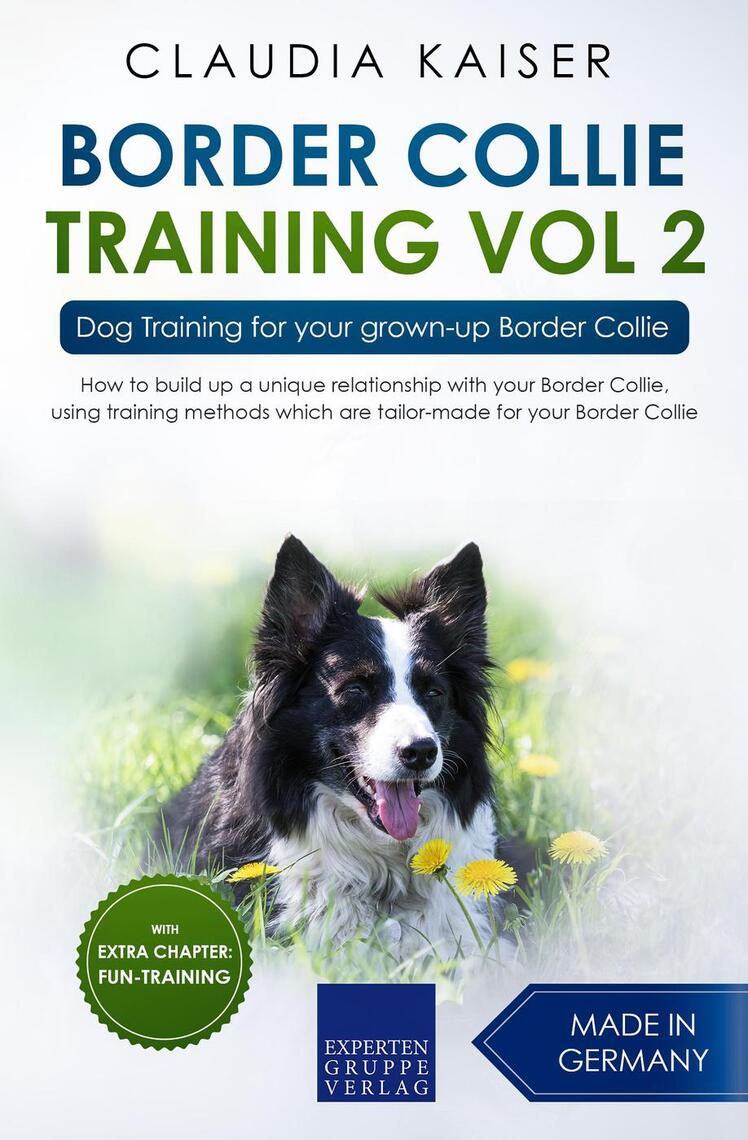 Border Collie Training Vol. 2: Dog Training for your grown-up Border ...