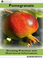 Pomegranate: Growing Practices and Nutritional Information